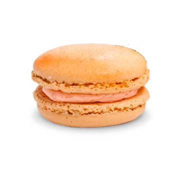 Macaron - Apricot