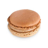 Macaron - Cappuccino