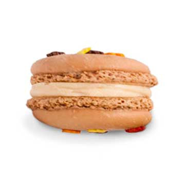 Macaron - Chestnut