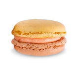 Macaron - Grapefruit