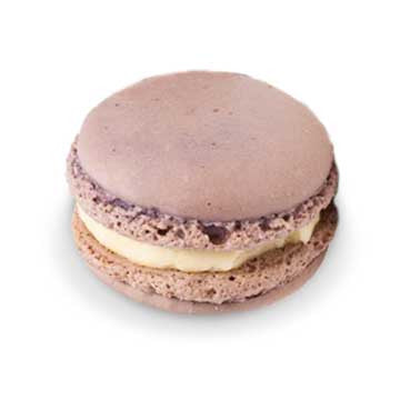 Macaron - Honey Lavender