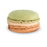 Macaron - Matcha Chestnut