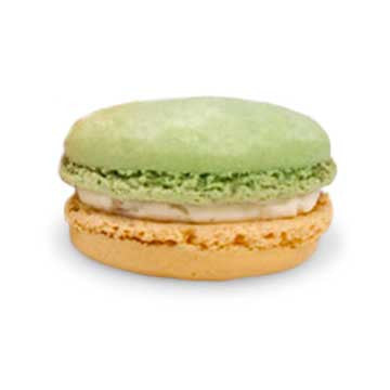 Macaron - Pineapple