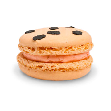 Macaron - Pumpkin Cinnamon