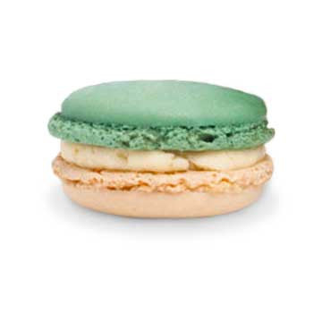 Macaron - White Chocolate