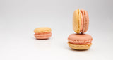 Macaron - Grapefruit