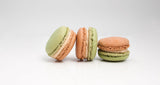 Macaron - Matcha Chestnut